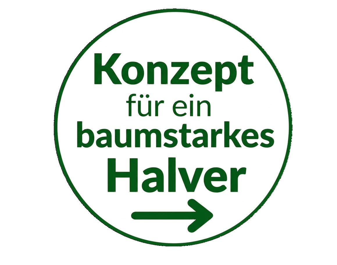 Banner Baumkonzept